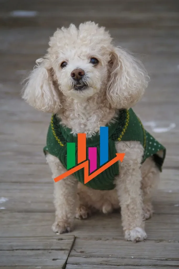 This image is about Mini Golden Retriever Teacup Poodle size